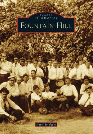 Cover of the book Fountain Hill by David Ira Kagan