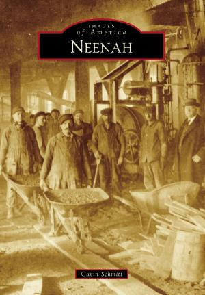 Cover of the book Neenah by Dr. Phillip Stone