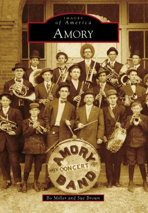 Cover of the book Amory by Laura A. Macaluso