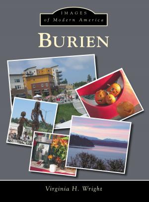 Cover of the book Burien by Chris Epting