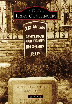 Cover of the book Texas Gunslingers by Susan Gillis, Daniel T. Hobby