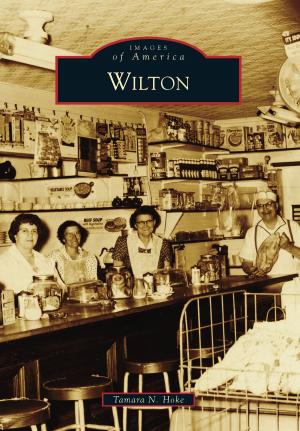 Cover of the book Wilton by David Allen Lambert, Brenda Lea Lambert