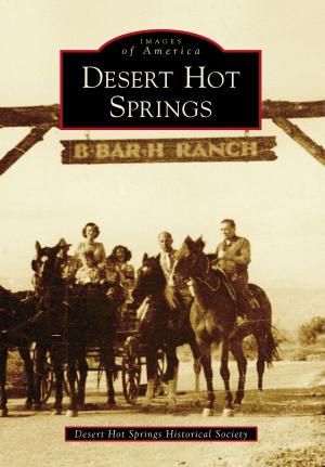 Cover of the book Desert Hot Springs by Scott Carlson