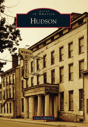 Cover of the book Hudson by Daniel S. Morrow