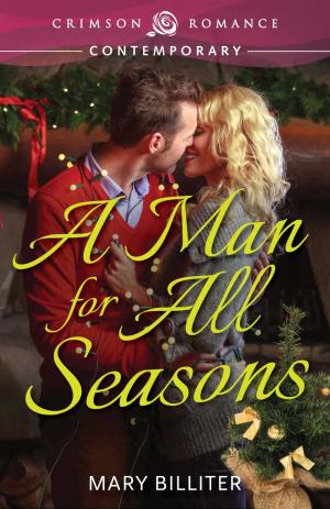 Cover of the book A Man for All Seasons by Michele Deppe
