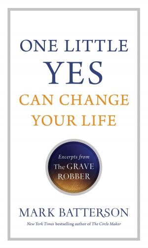 Cover of the book One Little Yes Can Change Your Life by Laura Frantz