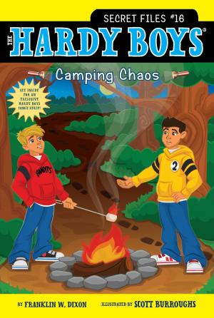 Cover of the book Camping Chaos by James Riley