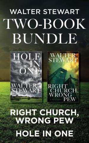 Cover of the book Walter Stewart Two-Book Bundle by Desmond Bagley