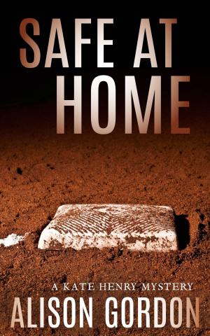 Cover of the book Safe At Home by Lisa Clark