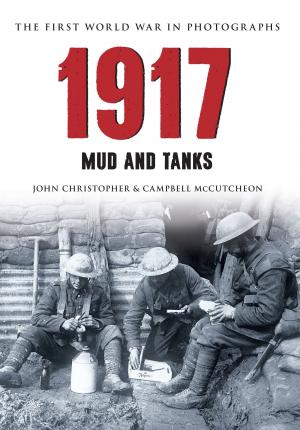 Book cover of 1917 The First World War in Photographs