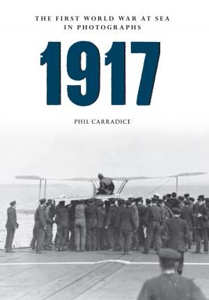Book cover of 1917 The First World War at Sea in Photographs