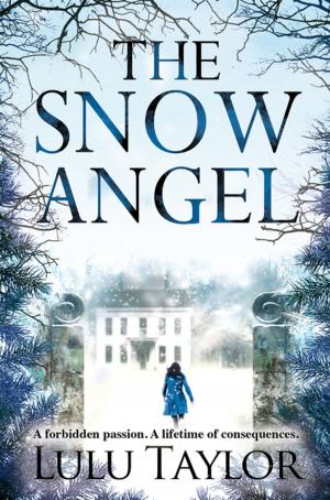bigCover of the book The Snow Angel by 
