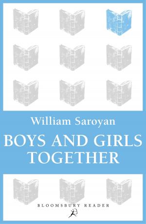 Cover of the book Boys and Girls Together by Brian Fagan