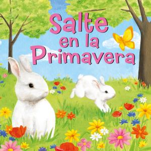 Cover of the book Salte en la Primavera by Dana Simpson