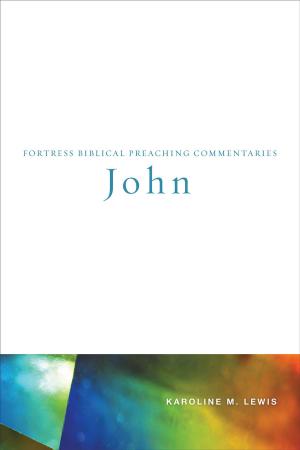 Cover of the book John by Dietrich Bonhoeffer