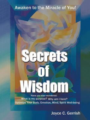 Cover of the book Secrets of Wisdom by Oxana Holtmann, Audrey Hazekamp