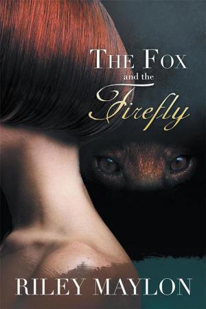 Cover of the book The Fox and the Firefly by David Clements