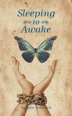 Cover of the book Sleeping to Awake by Peg Haust-Arliss LCSW-R