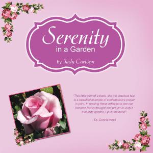 Cover of the book Serenity in a Garden by Alexandra Hopkins