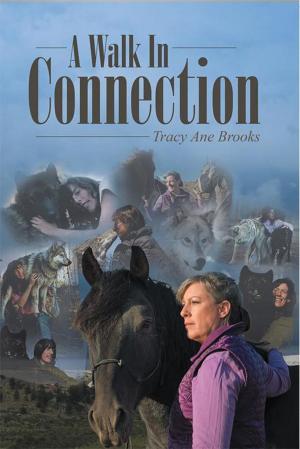 Cover of the book A Walk in Connection by Carole Chandler