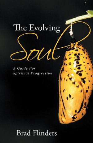 Cover of the book The Evolving Soul by Angela Cooke