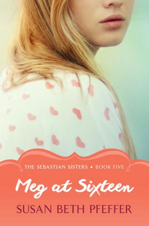 Cover of the book Meg at Sixteen by Donald McCaig