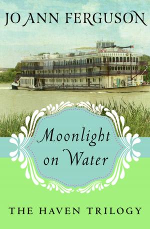 Book cover of Moonlight on Water