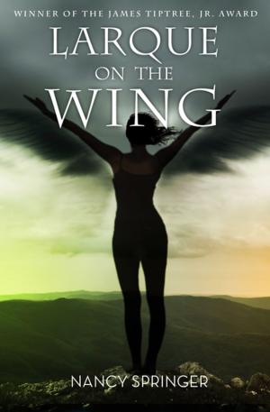 Cover of the book Larque on the Wing by James Percy FitzPatrick