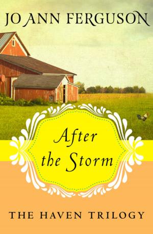 Cover of the book After the Storm by Claire Chao, Isabel Chao