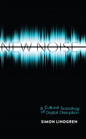 Cover of the book New Noise by B. Mairéad Pratschke
