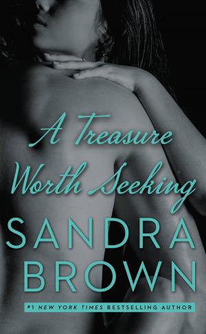 Cover of the book A Treasure Worth Seeking by Kristen Ashley