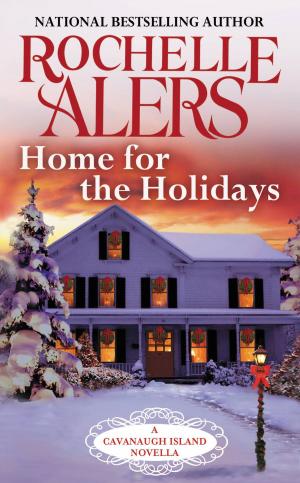 Cover of the book Home for the Holidays by Bree Dahlia