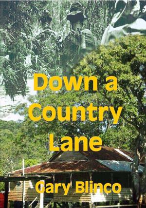 Book cover of Down a Country Lane