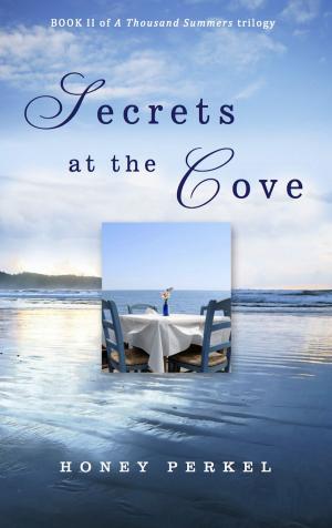 Cover of the book Secrets At the Cove by Matt Andrews
