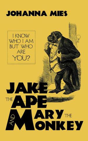 Cover of the book Jake the Ape and Mary the Monkey by Clington Quamie
