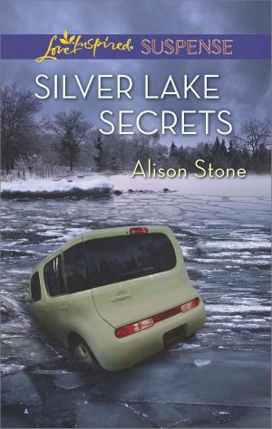Cover of the book Silver Lake Secrets by Marion Lennox, Leah Martyn