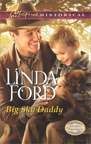 Cover of the book Big Sky Daddy by Kit Gardner