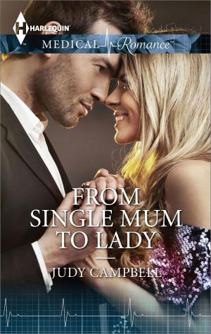 Cover of the book From Single Mum to Lady by Tim Tash