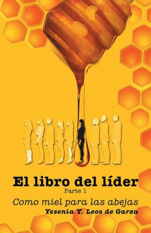 Cover of the book El Libro Del Líder by Dolly J. Rodríguez