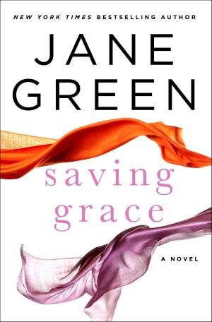 Cover of the book Saving Grace by Steve Ulfelder