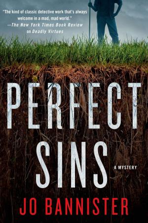 Cover of the book Perfect Sins by Darynda Jones