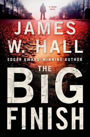 Cover of the book The Big Finish by C.R. Black