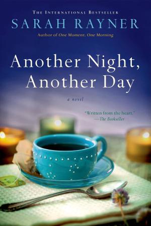 Cover of the book Another Night, Another Day by Charlaine Harris