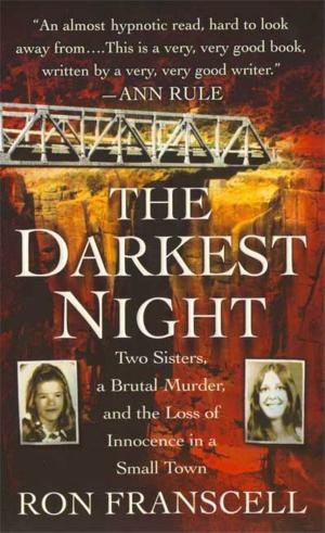 Cover of the book The Darkest Night by Brad Parks