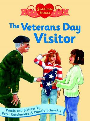 Book cover of The Veterans Day Visitor