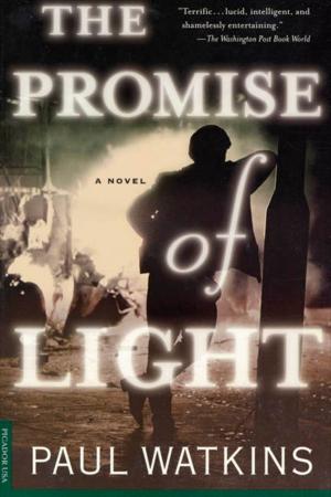 Cover of the book The Promise of Light by Colum McCann