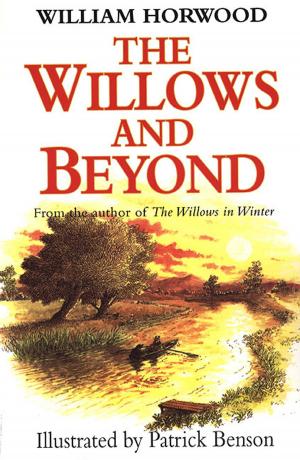 Cover of the book The Willows and Beyond by Jackie Collins
