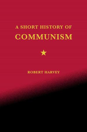 Cover of the book A Short History of Communism by Gary Busey, Steffanie Sampson