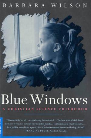 Cover of the book Blue Windows by Magnus Mills