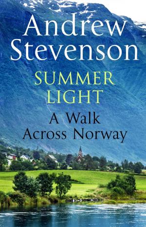 Cover of the book Summer Light by Stephen Dobyns